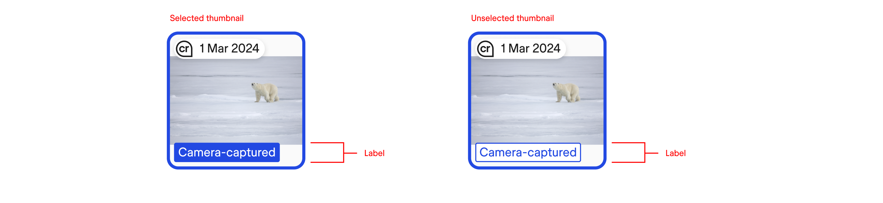 Select states for a manifest thumbnail